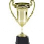 trophy_zps7eb1e2dc.png