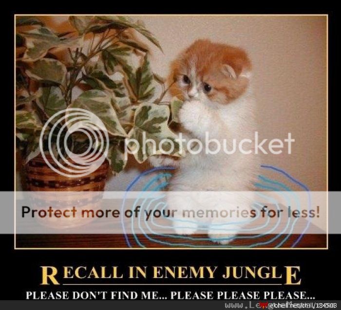 ed90635548156da4d172b8b81b7624a3.jpg?t=1