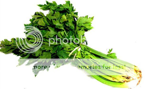 Mengatasi Wajah Berminyak dengan Daun Seledri Mengatasi Wajah Berminyak dengan Daun Seledri