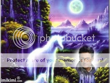  photo fer5_zps34aa244b.jpg