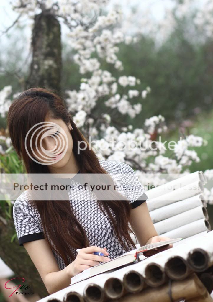 xinh vn vn xinh vn vn