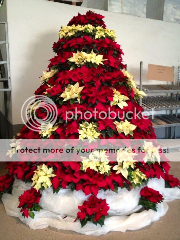 798fd43826b027eb980336d28ca69d80.jpg