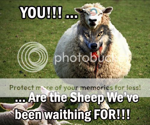  photo SHeeps_Clothing_USE_zps74syh4zb.jpg