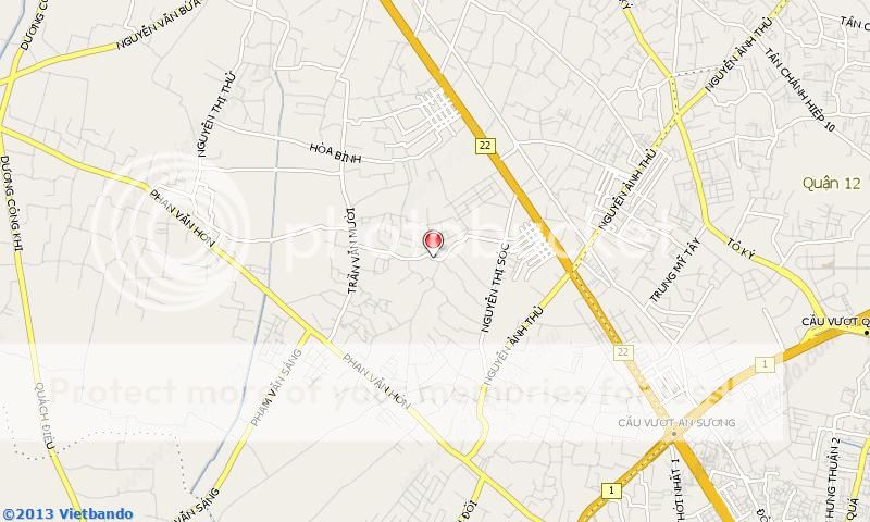 Dịch Vụ Lưu Giữ Thú Cưng Trong Dịp Tết!