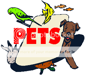 Durham House of Pets