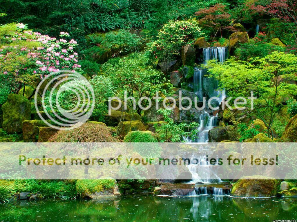 japanese-gardens_portland_oregon-1.jpg